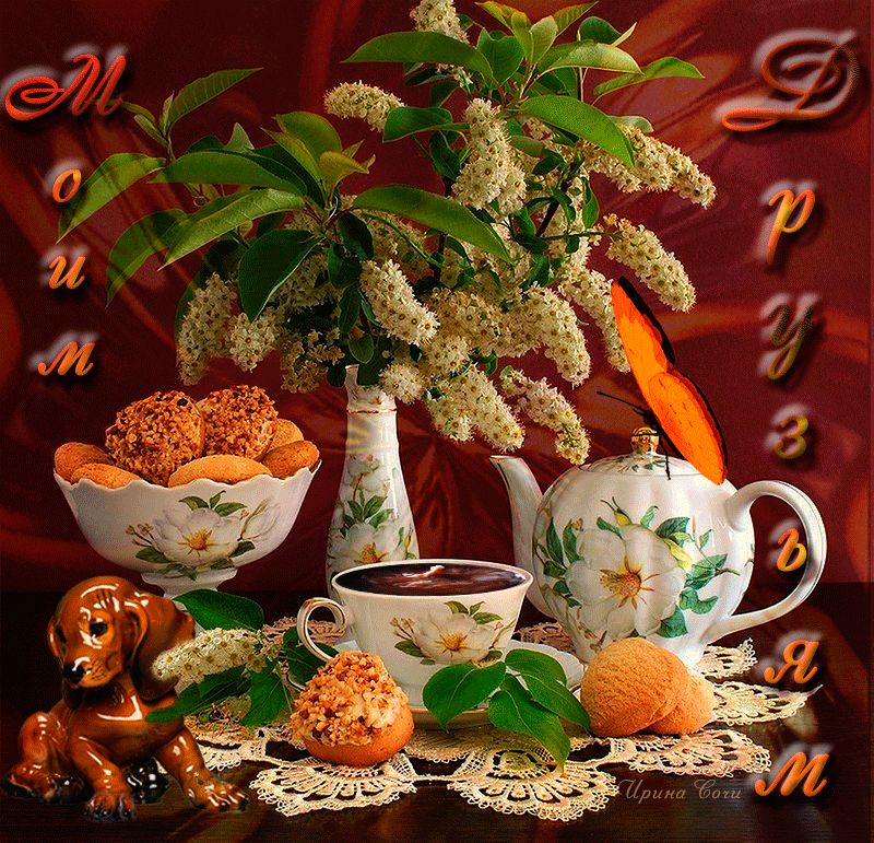 Моим друзьям !