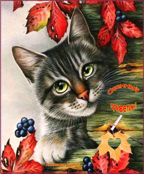 Осенний приветик !