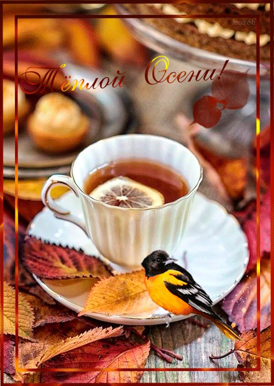 Тёплой Осени !