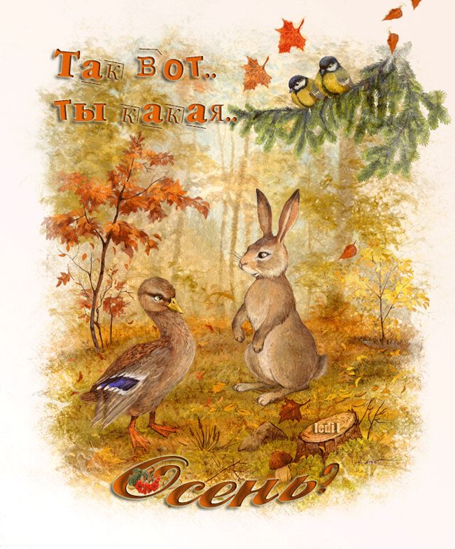 Так вот ты какая,  ОСЕНЬ?