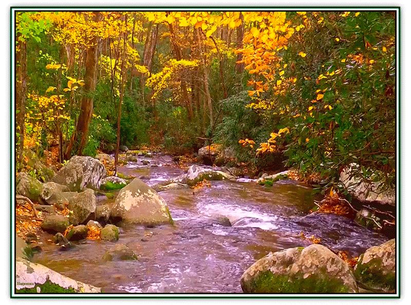 Осень в лесу