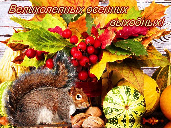 Великолепных осенних выходных ! ! !