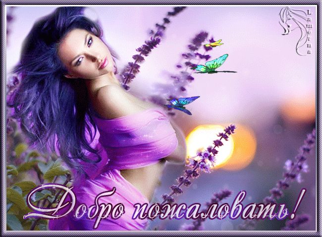 Добро пожаловать !