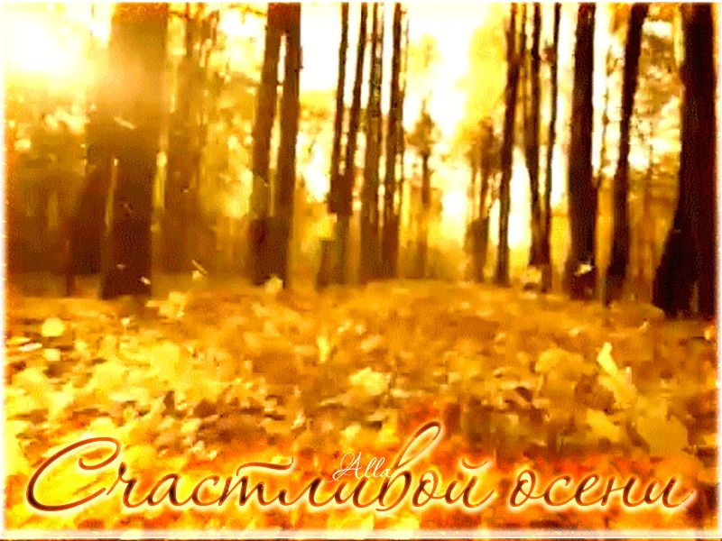 Пожелание счастливой осени !