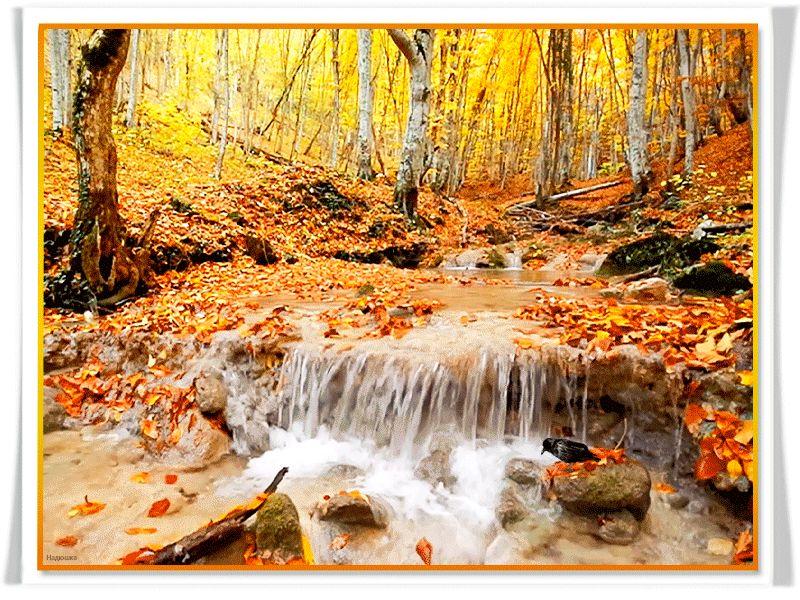 Золотая осень