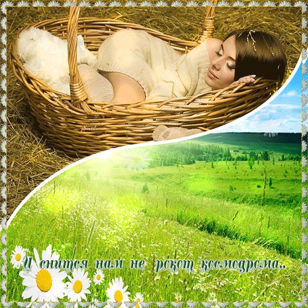 И снится нам не рокот космодрома...