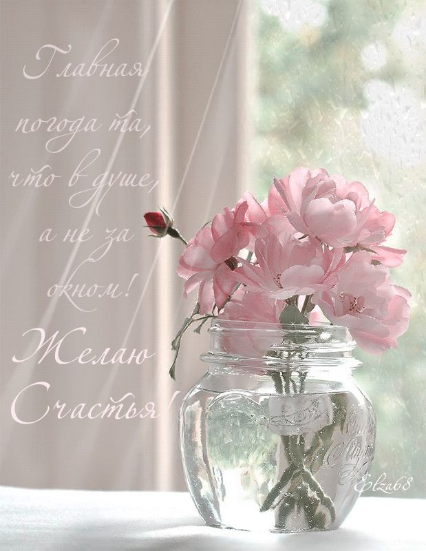 Цветы на окне