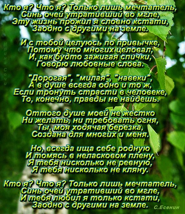 Стих про березу