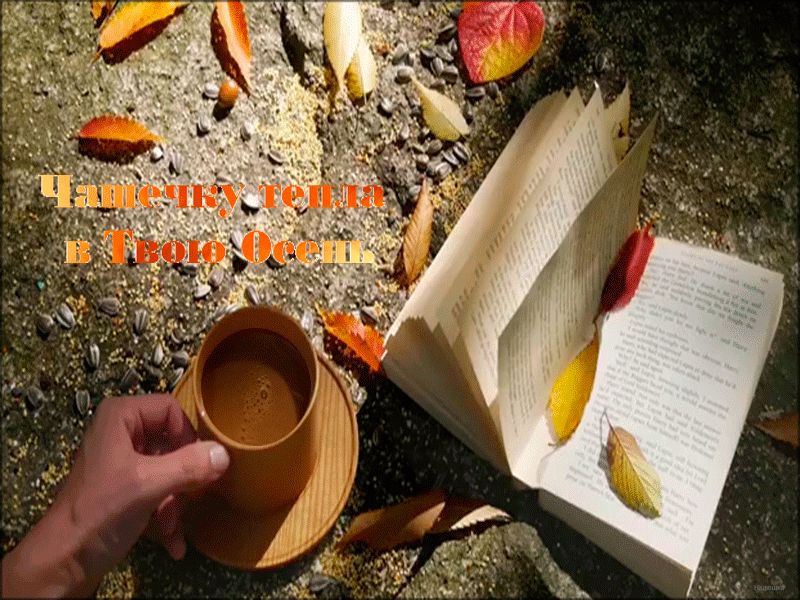 Чашечку тепла в твою осень
