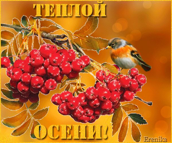 Пожелание теплой осени !