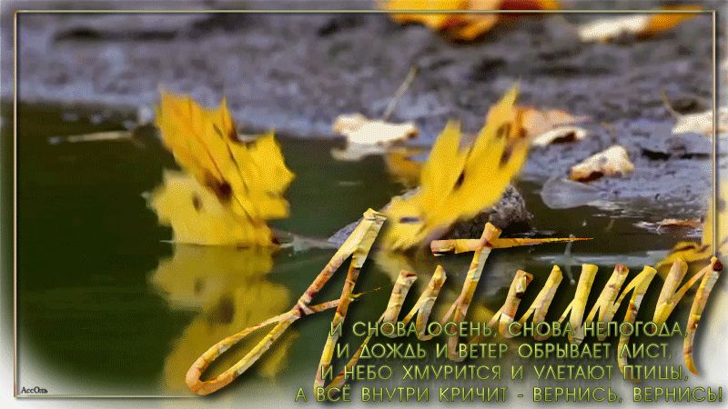 Снова непогода