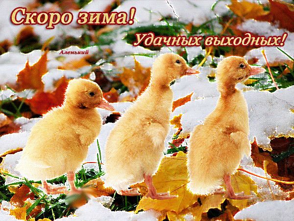 Скоро зима ! Удачных выходных ! !