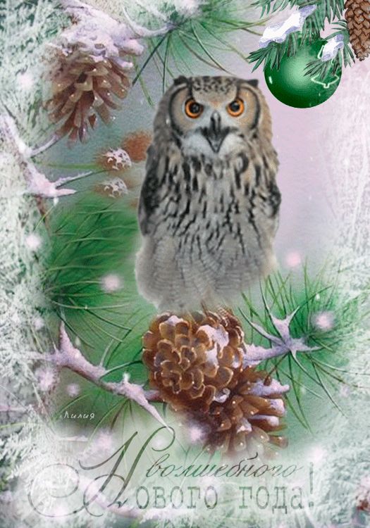 Сова. Волшебного Нового года.