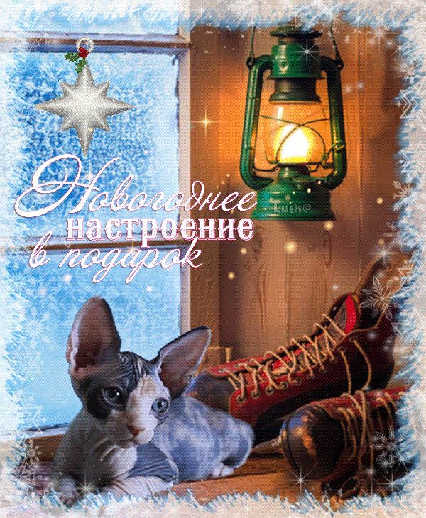 Новогоднее настроение в подарок