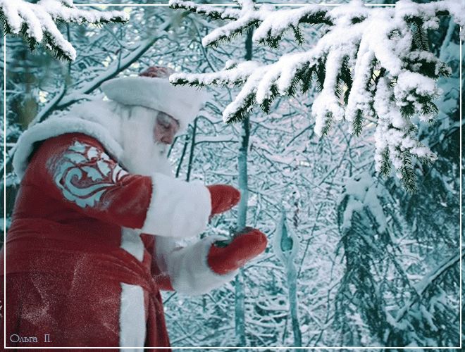 Дед Мороз в зимнем лесу