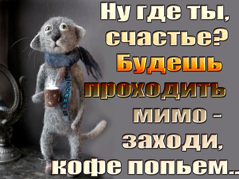 Ну где ты счастье...