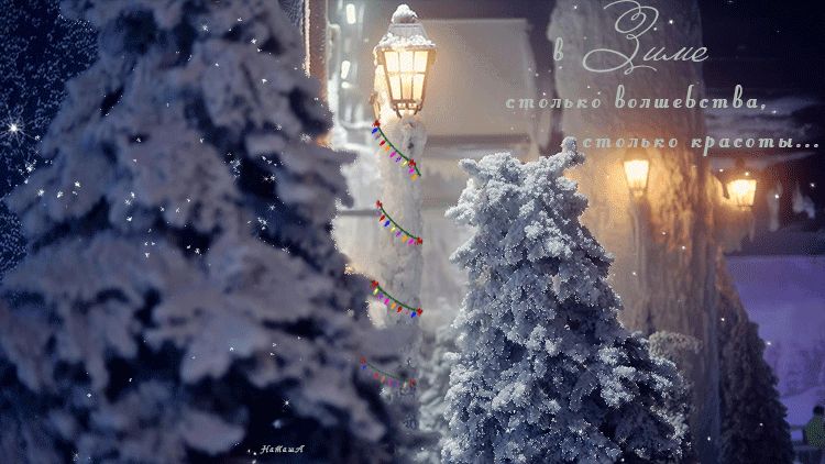 В Зиме столько волшебства
