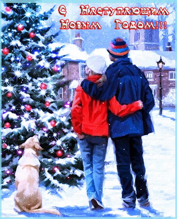С наступающими новогодними праздниками !