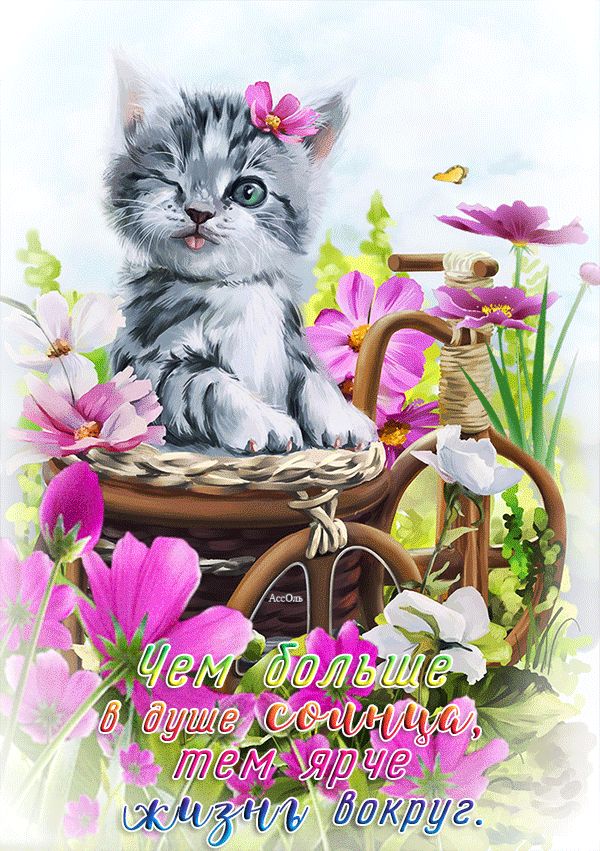 Солнца в душе