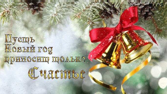 Пусть новый год приносит только счастье !
