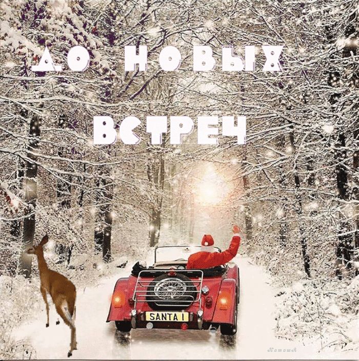 До новых встреч