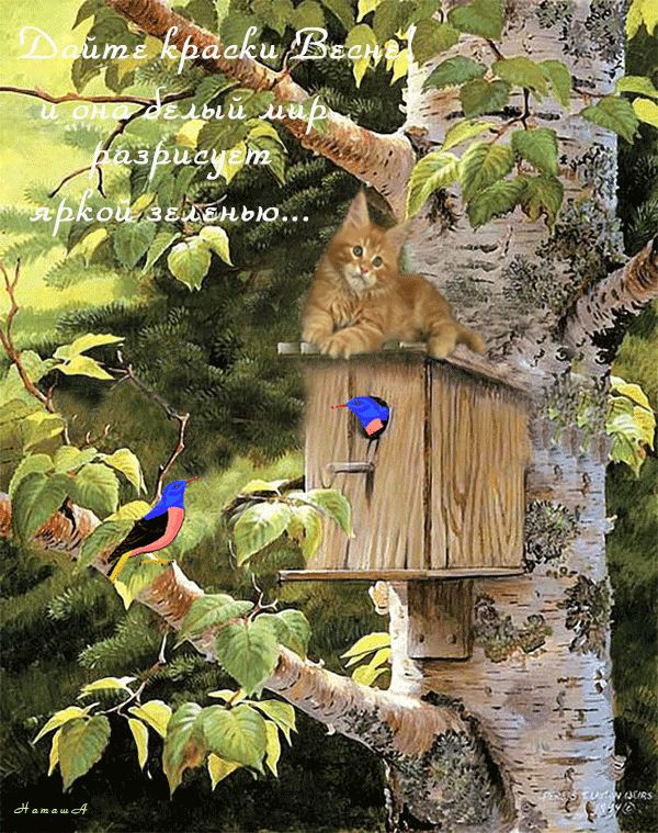 Дайте краски Весне !