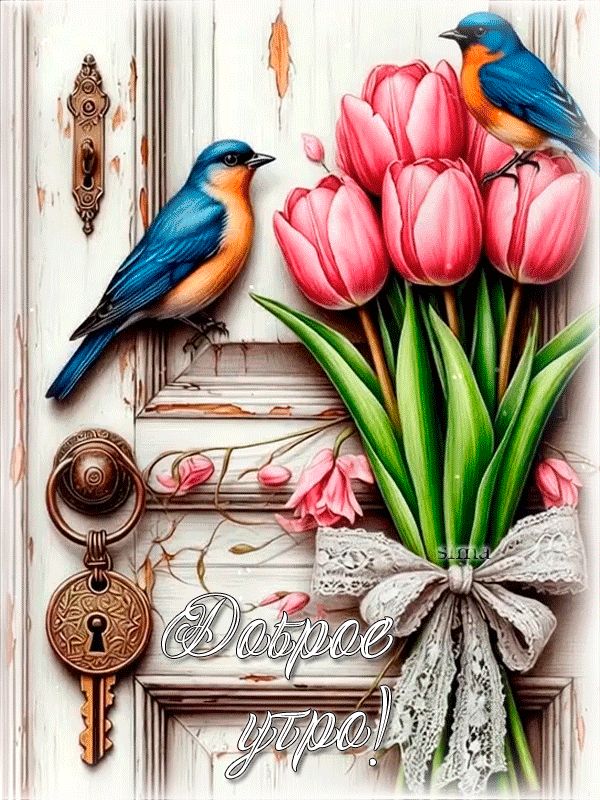 GIF ДОБРОЕ УТРО !