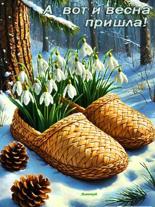 А вот и весна пришла !