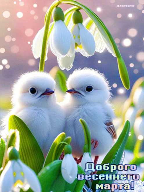 Анимации доброго весеннего марта !