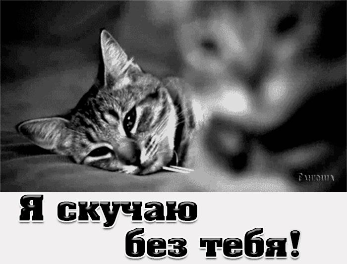 Я скучаю без тебя !