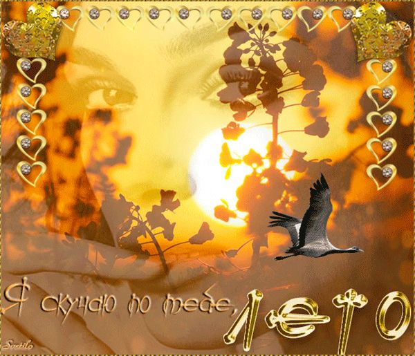 Я скучаю по тебе лето