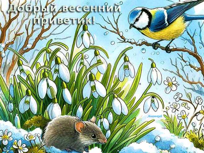 Добрый весенний приветик !