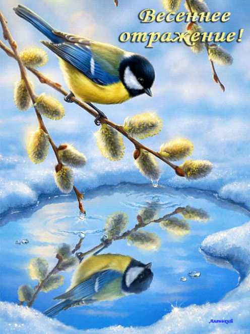 весеннее отражение !