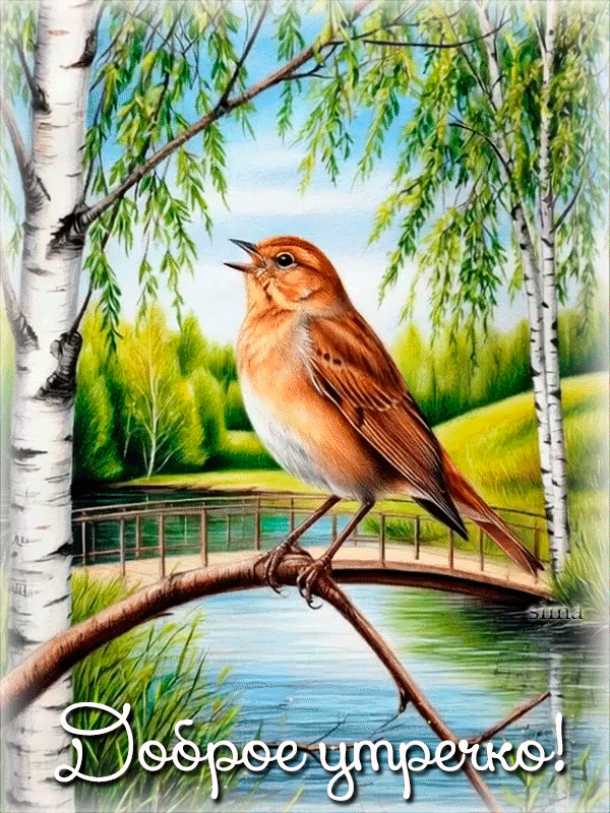 Анимация доброе утро !