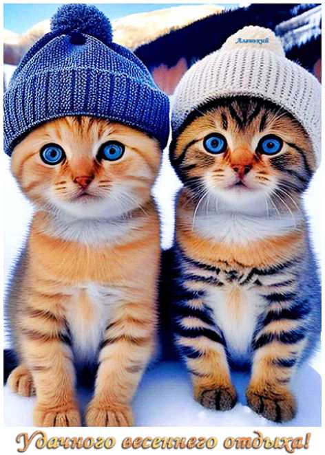 Удачного весеннего отдыха !