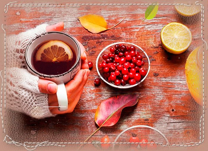 Выздоравливай скорей !