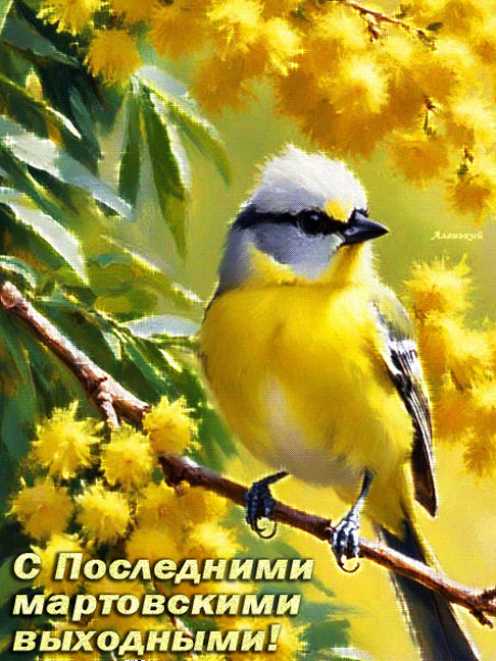 С Последними мартовскими выходными !