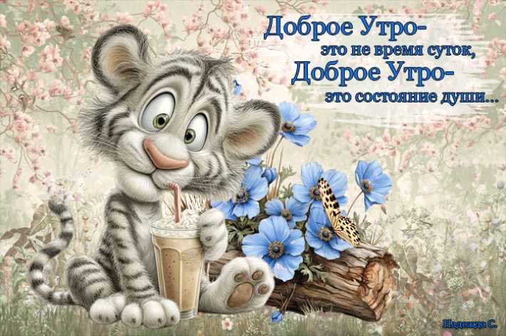 Доброе утро – это не время суток…