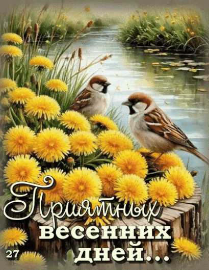 GIF доброго дня ! картинка gif