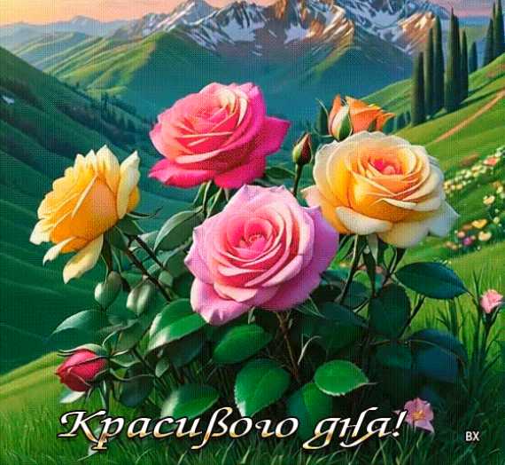 Красивого дня !