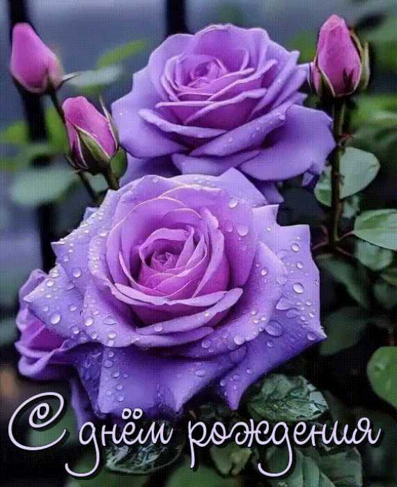 Картинки с днём рождения ! анимация