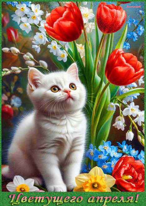 Цветущего апреля !