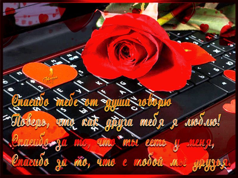 Спасибо тебе от души говорю