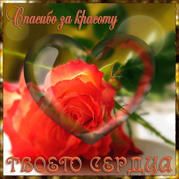 Спасибо за красоту