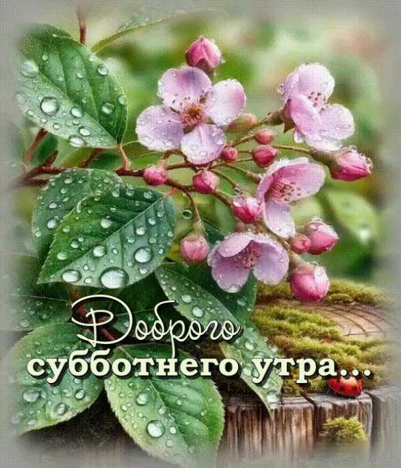 Доброе Утро ! Картинка