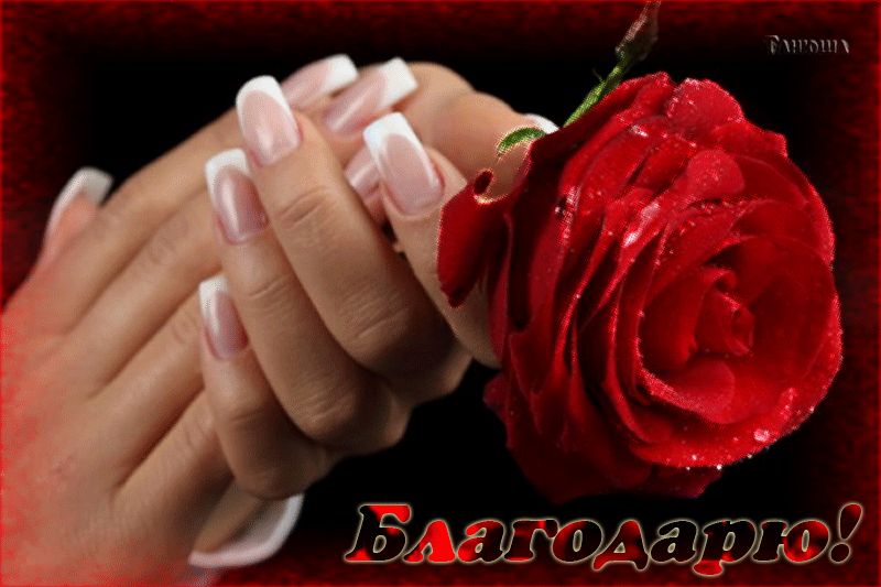 Анимация Благодарю !