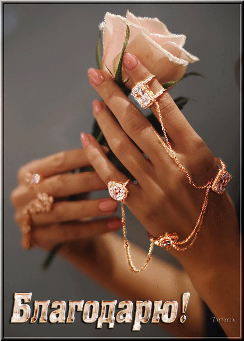 Благодарю !