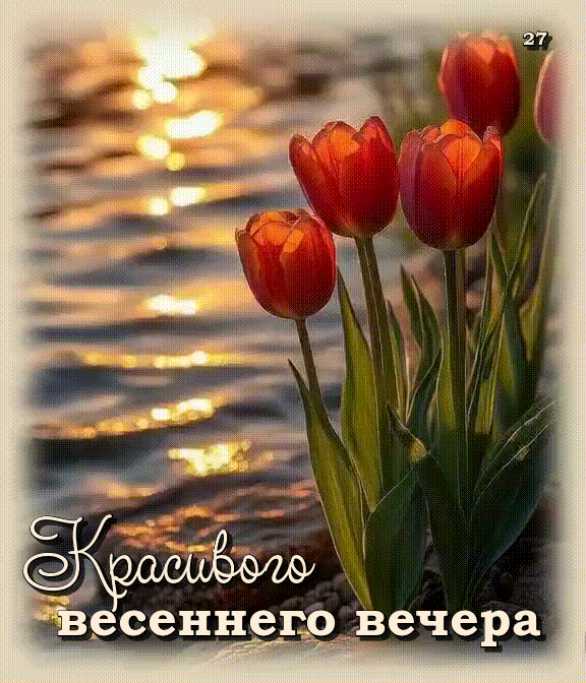 Красивого Вечера ! Анимашка