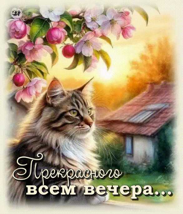 Прекрасного всем вечера…