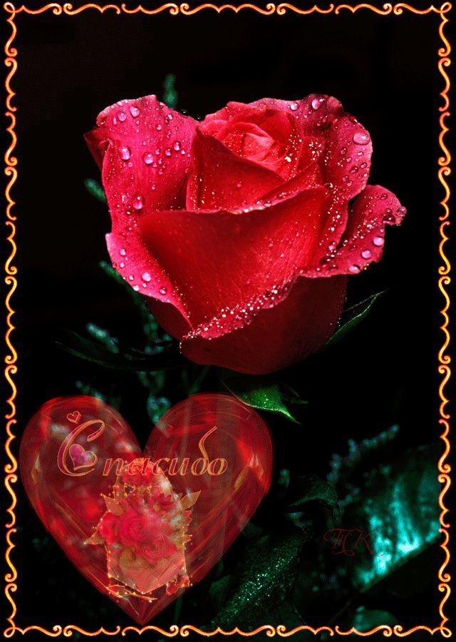 Спасибо ! Роза и сердце